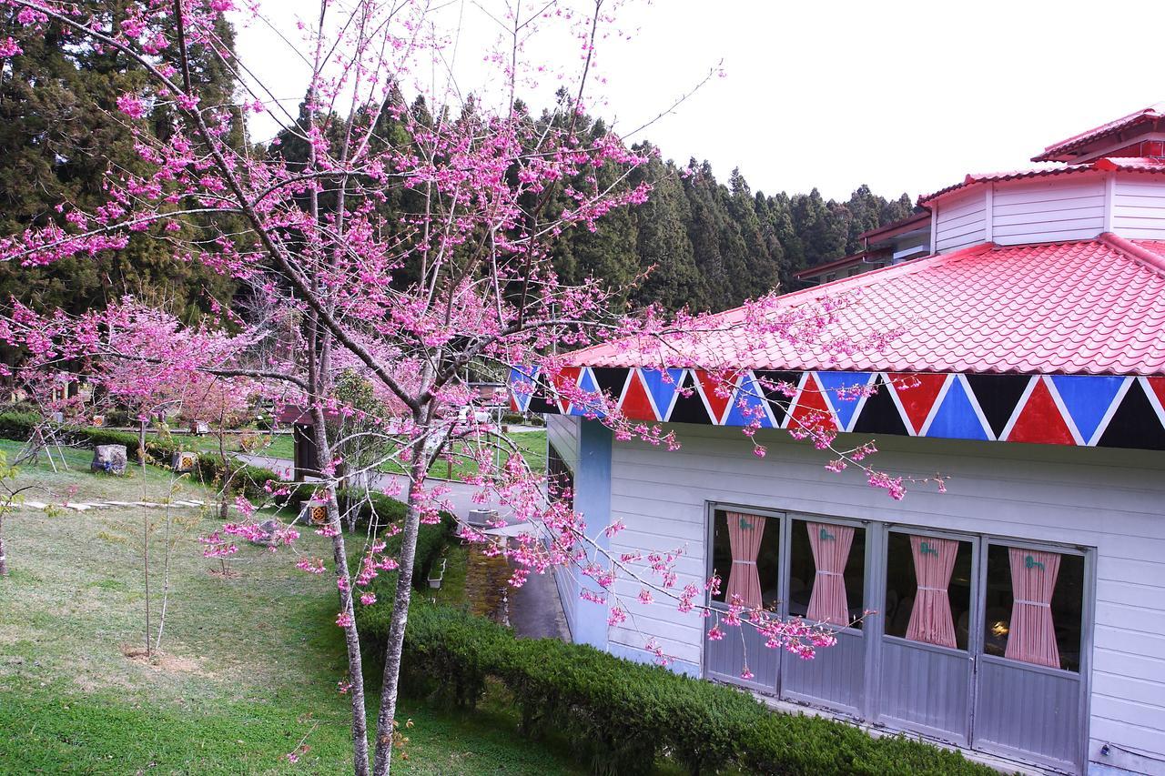 Alishan Youth Activity Center Zhongzheng  Extérieur photo