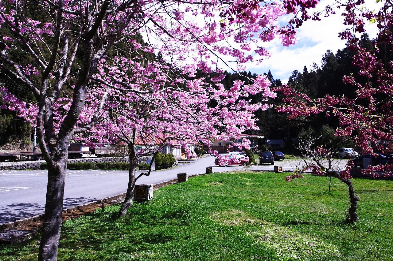 Alishan Youth Activity Center Zhongzheng  Extérieur photo
